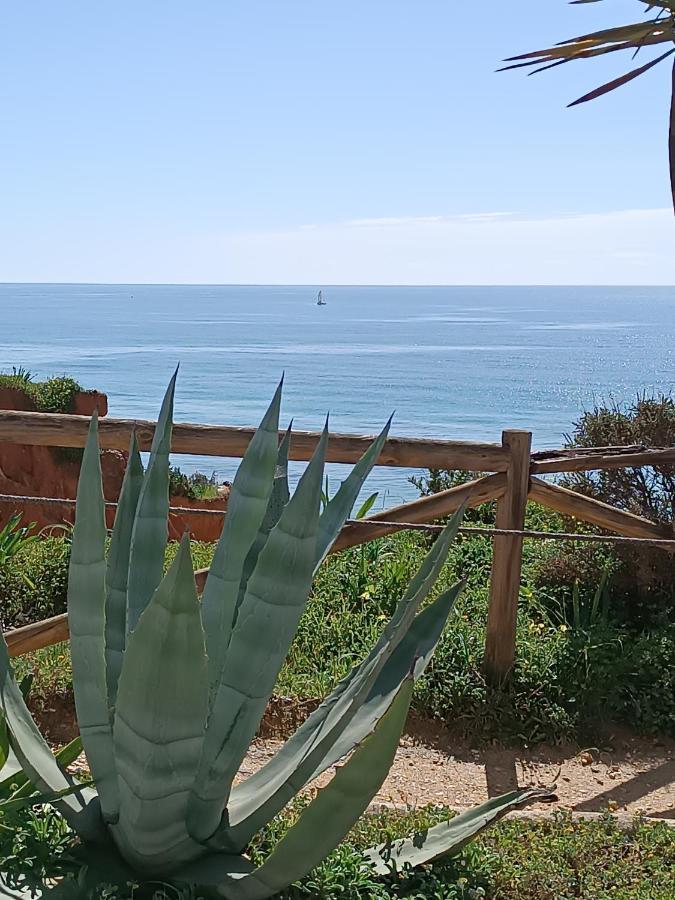 Mar A Vista Algarve Summer 포티마오 외부 사진